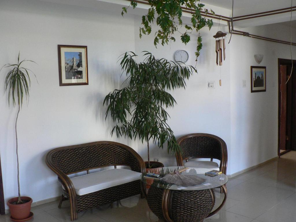 Casa Havana (Adults Only) Costinești Kültér fotó