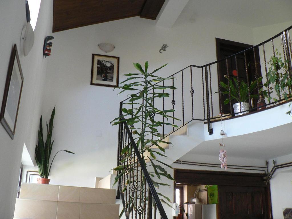 Casa Havana (Adults Only) Costinești Kültér fotó
