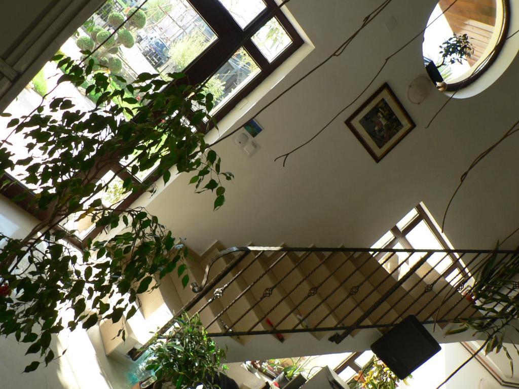 Casa Havana (Adults Only) Costinești Kültér fotó