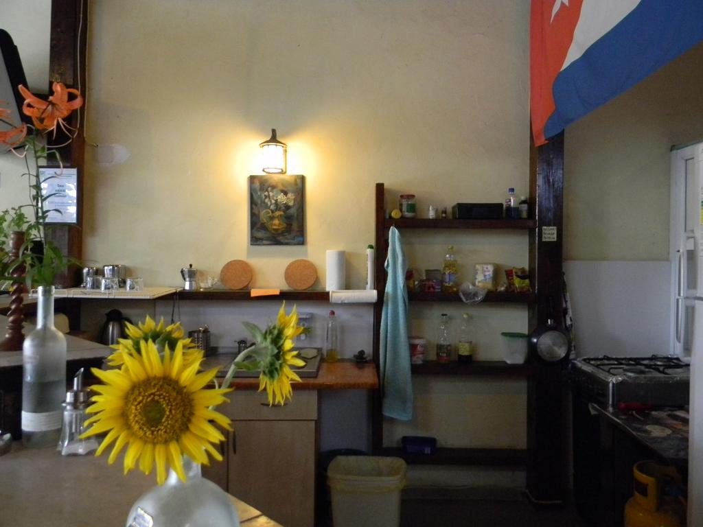 Casa Havana (Adults Only) Costinești Kültér fotó